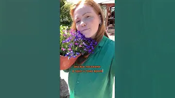 ПОЧЕМУ ЦВЕТЫ ПЛОХО ЦВЕТУТ И НЕ РАСТУТ?