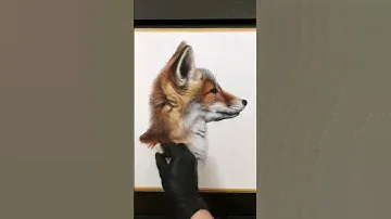 Drawing a double Red Fox artwork - soft pastels & pastel pencils 40x60cm #fox #wildlifeart #art