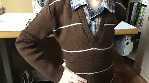 Джемпер с имитацией рубашки.