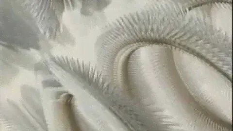 Baby Fox - In Your Dreams